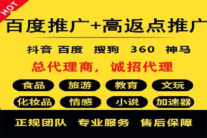 百度竞价广告投放策略：案例分析及效果评估